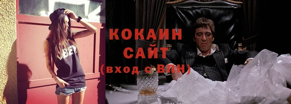 spice Богородицк