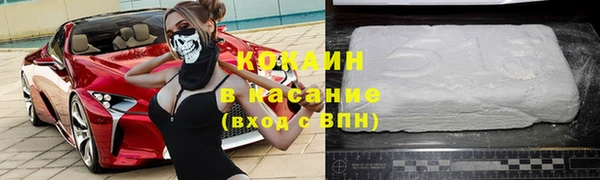 spice Богородицк