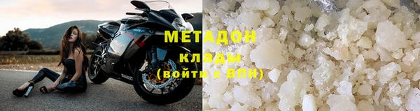 прущие грибы Богданович