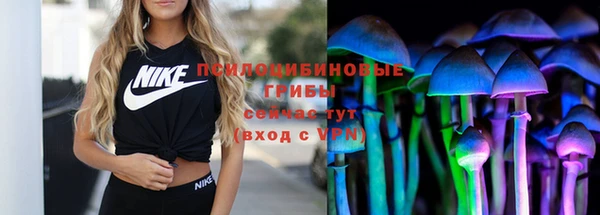 spice Богородицк