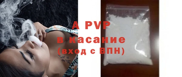 прущие грибы Богданович