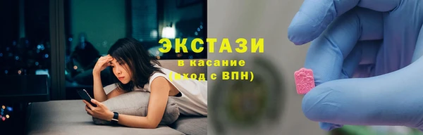 spice Богородицк