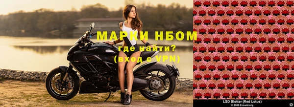 spice Богородицк