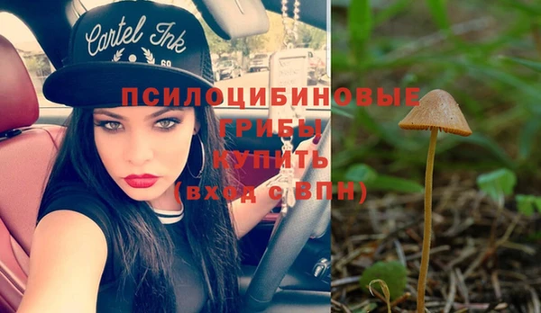 прущие грибы Богданович