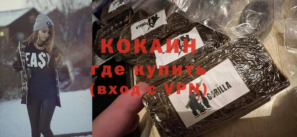 прущие грибы Богданович