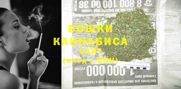 прущие грибы Богданович