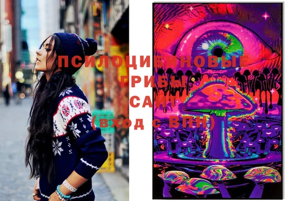 spice Богородицк