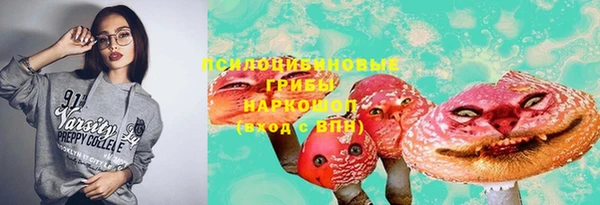 прущий лед Богородск