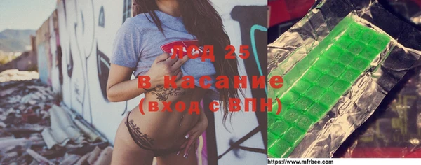 прущие грибы Богданович