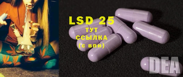 прущие грибы Богданович