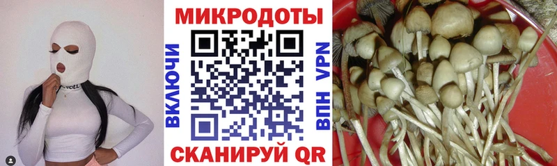 Псилоцибиновые грибы Cubensis  Купить где  Грязовец 