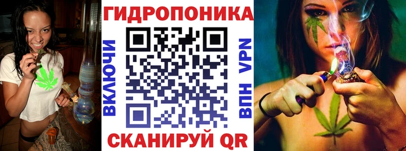 Купить закладки  Грязовец  Марихуана семена 